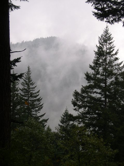 10.28.05 Devil's Rest 058 